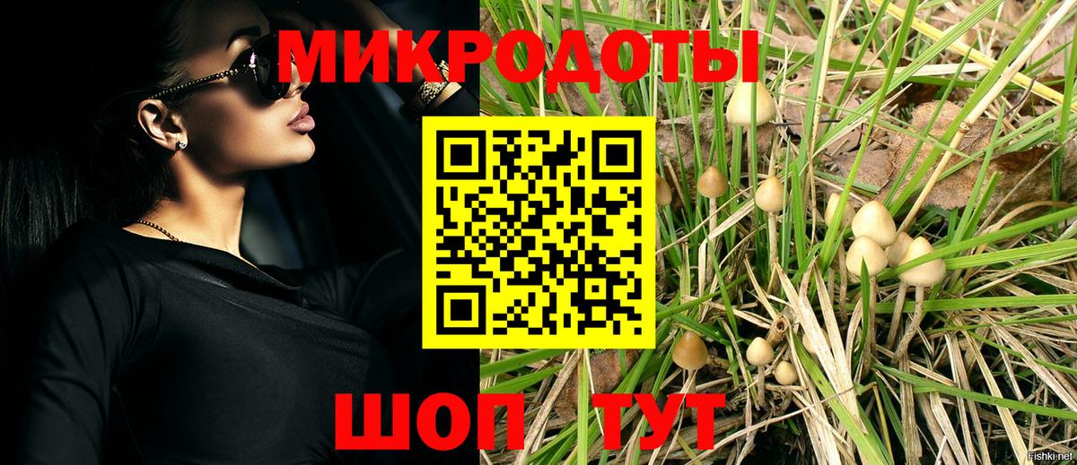 Галлюциногенные грибы прущие грибы Красный Сулин