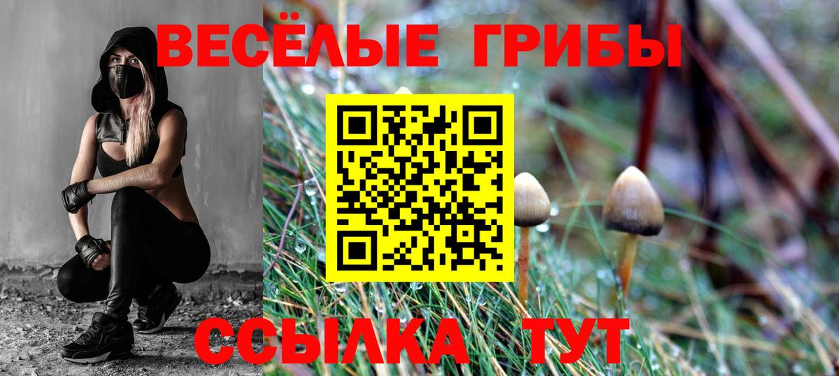 Красный Сулин  Галлюциногенные грибы мицелий  Галлюциногенные грибы Magic Shrooms  Вход с VPN 