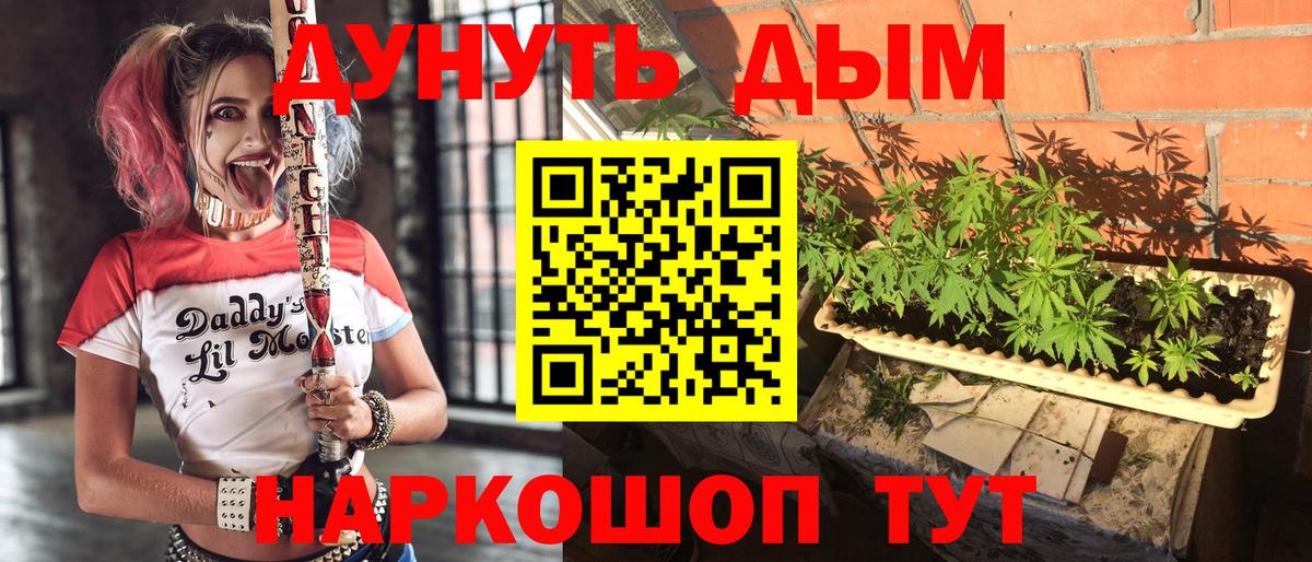МАРИХУАНА сатива Красный Сулин